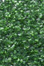 Green Crushed Glass Royalty Free Stock Photo