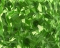 Green crystal background