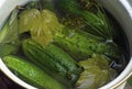 Green cucumber in a bowl Royalty Free Stock Photo
