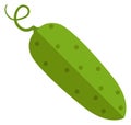 Green cucumber flat icon. Fresh tasty vegetable