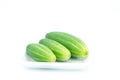 Green cucumber in foam sheet on isolate white background Royalty Free Stock Photo