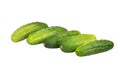 Green cucumber gherkin Royalty Free Stock Photo