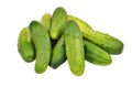 Green cucumber gherkin Royalty Free Stock Photo