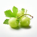 Green Fruits On White Background: Innovative Page Design With Realistic Renderings