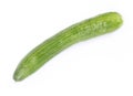 Green cucumber isolated