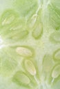 Green cucumber in the slit close-up photo.