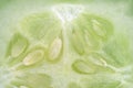 Green cucumber in the slit close-up photo.