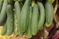 Green cucumber stack Royalty Free Stock Photo