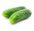 Green cucumber vegetable fruits isolated