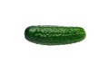 Green cucumber on white background, isolate Royalty Free Stock Photo