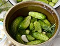 Green cucumbers in pot Royalty Free Stock Photo