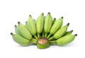 Green Cultivated banana Kluai namwa Royalty Free Stock Photo