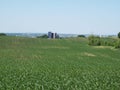 Green cultivated field in rural Minnesota farmland with silos in background Royalty Free Stock Photo