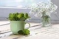 Green cup of melissa officinalis on a wooden table Royalty Free Stock Photo