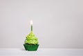 Green cupcake with sprinkles and lit birthday candle on a white grey background. Royalty Free Stock Photo