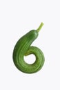 Green curly cucumber in a shape of the figure six or nine