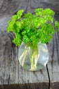 Green curly parsley in a jar with water