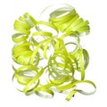 Green curly party streamer Royalty Free Stock Photo