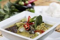 Green curry Chicken soup Royalty Free Stock Photo
