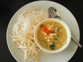 Green curry serve with rice noodle and fresh bean sprout in white ceramic dish on dark table Royalty Free Stock Photo