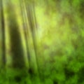 Green Curtain Background