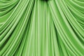 Green curtain texture