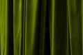Green  curtain in theatre background Royalty Free Stock Photo