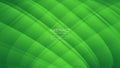 Green curve abstract background, wave background, Geometric vector, Minimal Texture, web background, Green cover design, flyer, Royalty Free Stock Photo