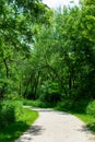 Green Curving Trail at Waterfall Glen Forest Preserve in Suburban Lemont Illinois Royalty Free Stock Photo