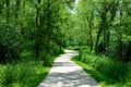 Green Curving Trail at Waterfall Glen Forest Preserve in Suburban Lemont Illinois Royalty Free Stock Photo