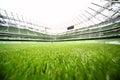 Green-cut grass in large stadium Royalty Free Stock Photo