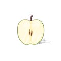 Green cut half apple sketch draw isolated over Royalty Free Stock Photo