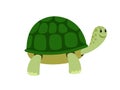 Green cute turtle cartoon icon Royalty Free Stock Photo