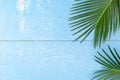 Green cycad palm leaves flat lay in blue wooden backdrop for a bright summer tropical background. Top view minimalist design.