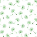 Green dandelions seed floral fluff pattern on a white background Royalty Free Stock Photo