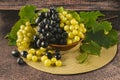 Green and dark grapes on a plate. Fresh harvest of fruits with leaves on a dark background. Royalty Free Stock Photo