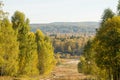 Green deciduous forest in Russia. Russian spaces Royalty Free Stock Photo