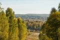 Green deciduous forest in Russia. Russian spaces Royalty Free Stock Photo