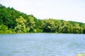 Green deciduous forest on the shore of the summer pond Royalty Free Stock Photo