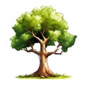 A green deciduous tree in the style of a comic book, cartoon, on a white background Royalty Free Stock Photo