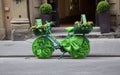 Green decorated bicycle