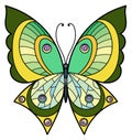 Green decorative butterfly. Ornate pattern wings moth Royalty Free Stock Photo