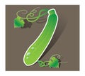 Green decorative Z courgette zucchini Royalty Free Stock Photo