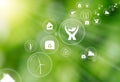 Green defocused background with sun rays and multiple icons inside floating bubbles as a symbol of protect environment and nature. Royalty Free Stock Photo