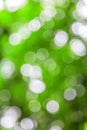 Green defocused lights useful as a background. Good for website designs or texture.