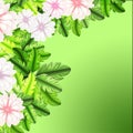 Green delicate background with transparent abstract flowers. Royalty Free Stock Photo