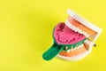 Green dental spoon for taking a dental impression in a mock-up of a dental jaw on a yellow background. Making an