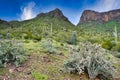 Green desert after rain, Picacho Peak State Park in the Sonoran Desert, Arizona, USA