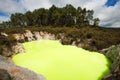 Green Devil`s Bath Pool at Wai-O-Tapu Geothermal Area near Rotorua, New Zealand Royalty Free Stock Photo