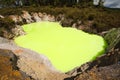 Green Devil`s Bath Pool at Wai-O-Tapu Geothermal Area near Rotorua, New Zealand Royalty Free Stock Photo